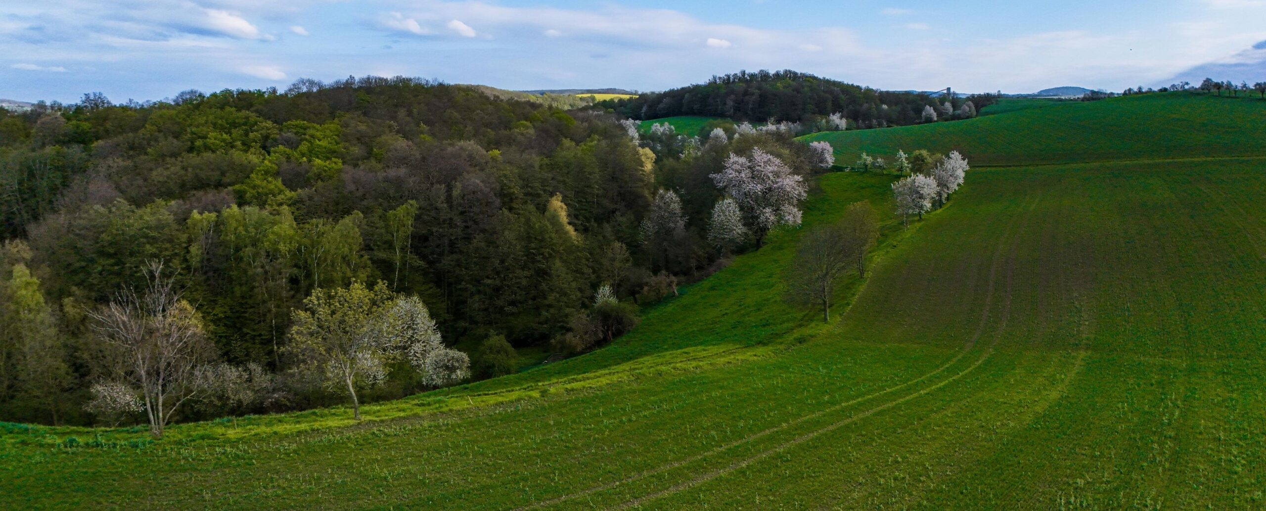 Hügelige Landschaft mit Acker, Wiesen und Wald im Frühling