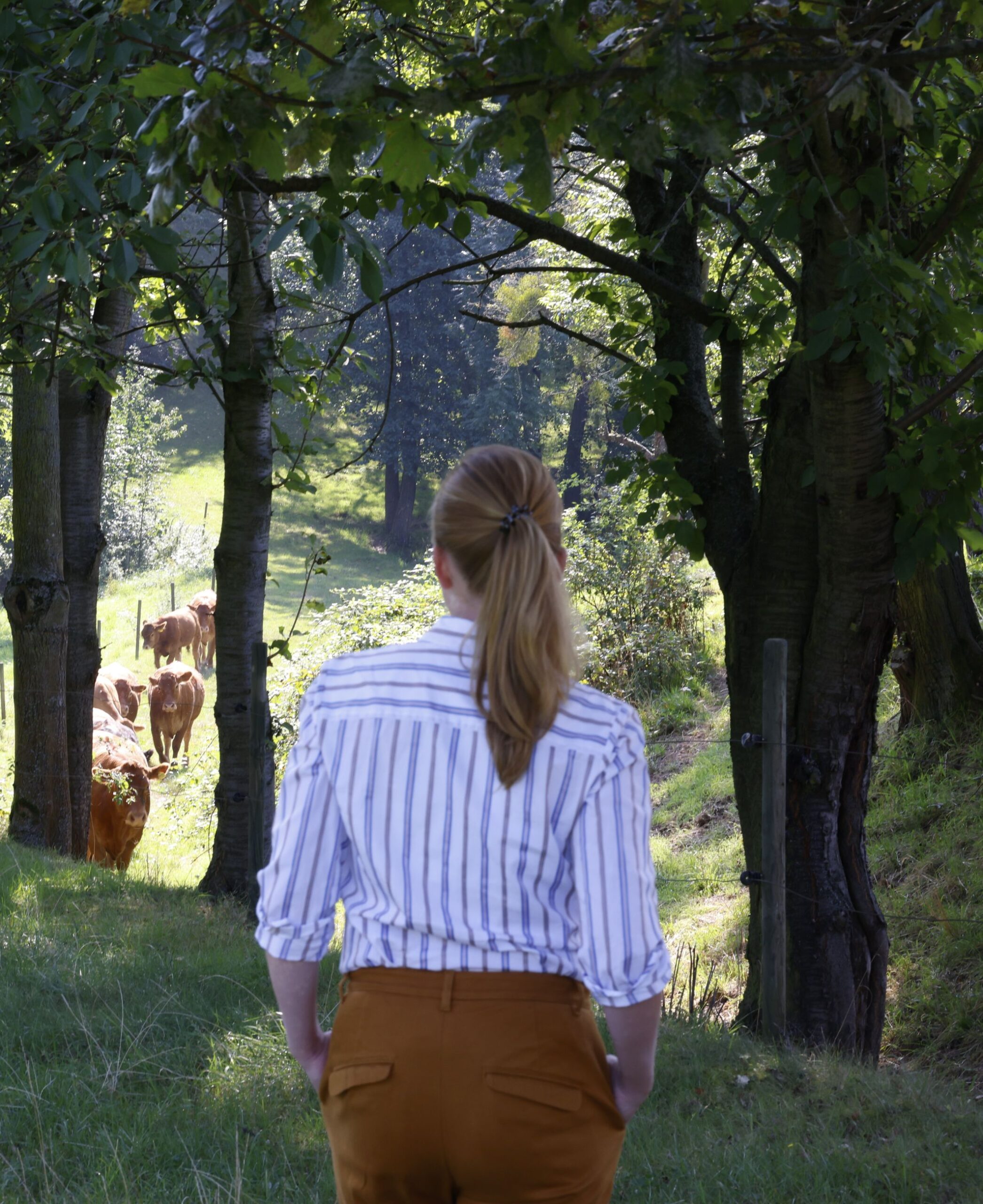 Coachin in draußen in der Natur schaut durch Bäume hinab zu ihren Tieren, welche neue Wege für mehr Klarheit und Selbstvertrauen öffnen